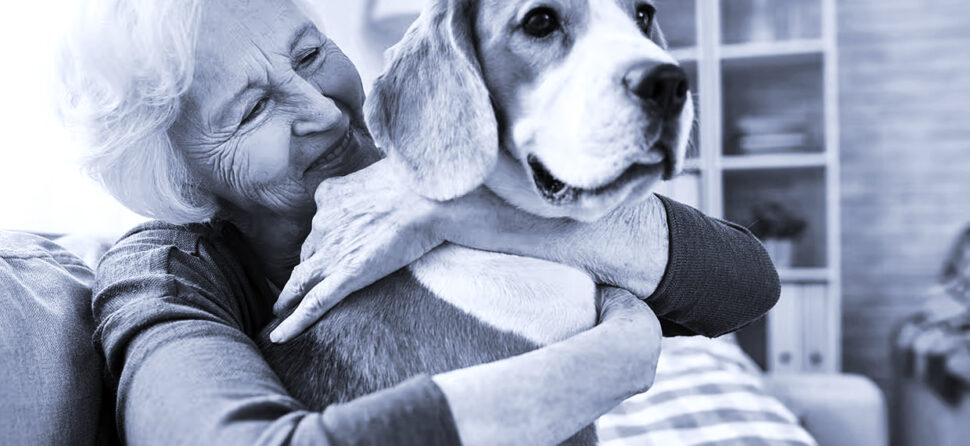 Mayores y mascotas, un tándem con muchos beneficios